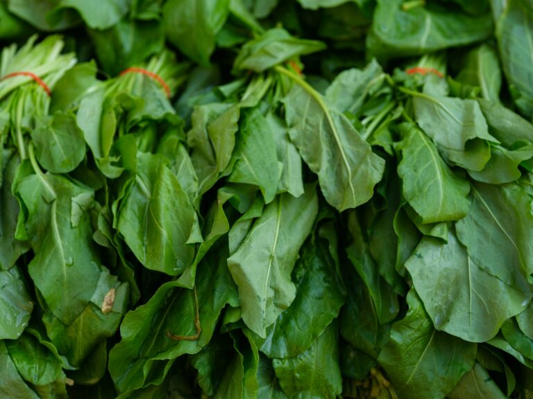 Verse spinazie op de markt, een groene bladgroente rijk aan vitamine K